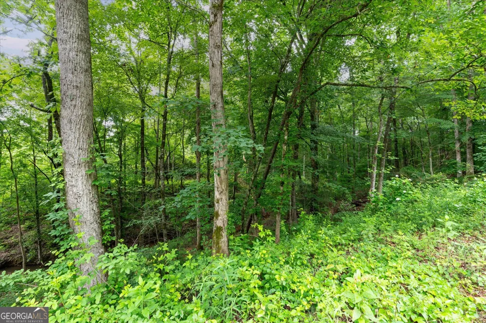 1461 County Road 499 Woodland, AL 36280