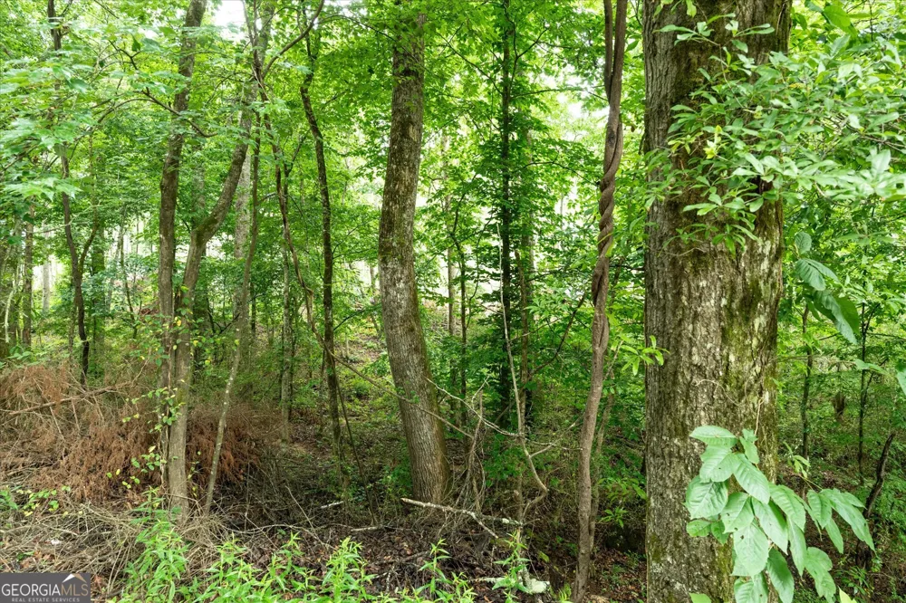 1461 County Road 499 Woodland, AL 36280