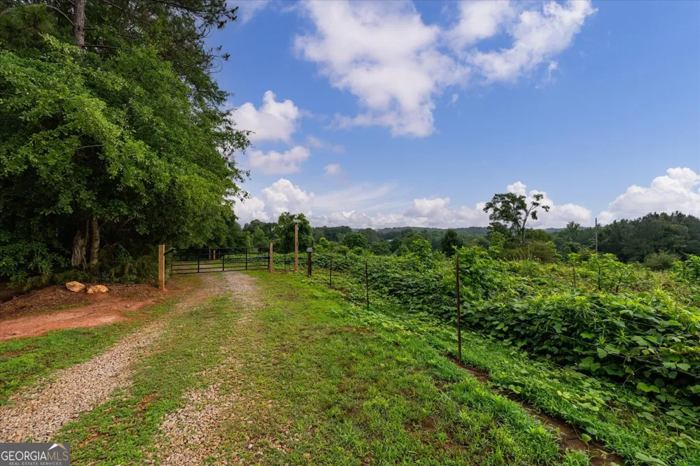 1461 County Road 499 Woodland, AL 36280