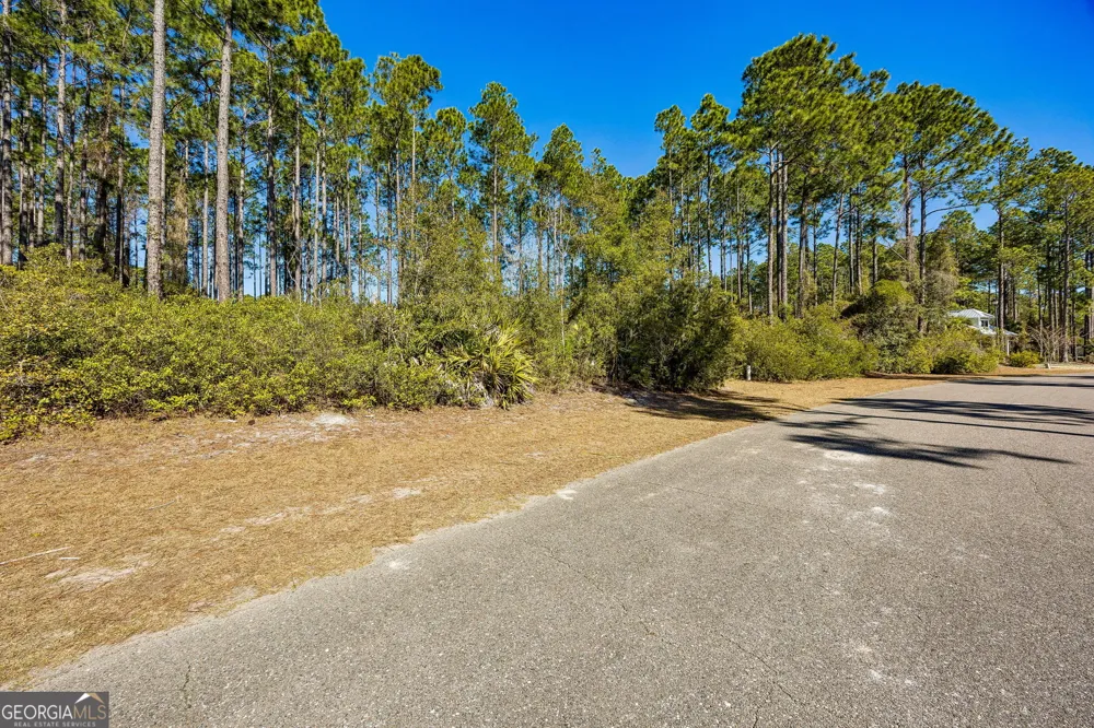 108 Wild Horse CT St. Marys, GA 31558