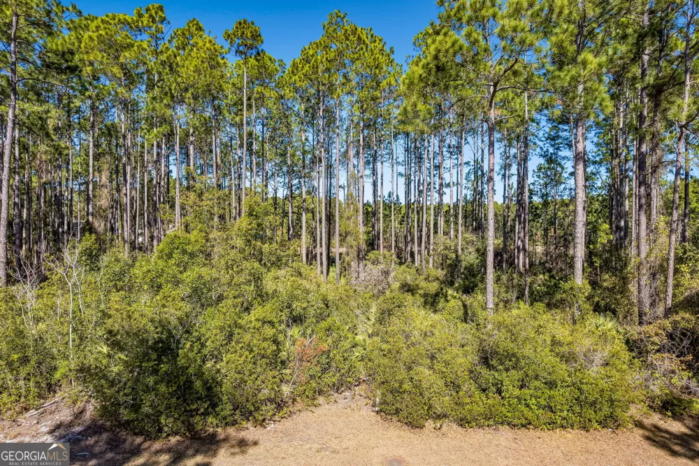 108 Wild Horse CT St. Marys, GA 31558