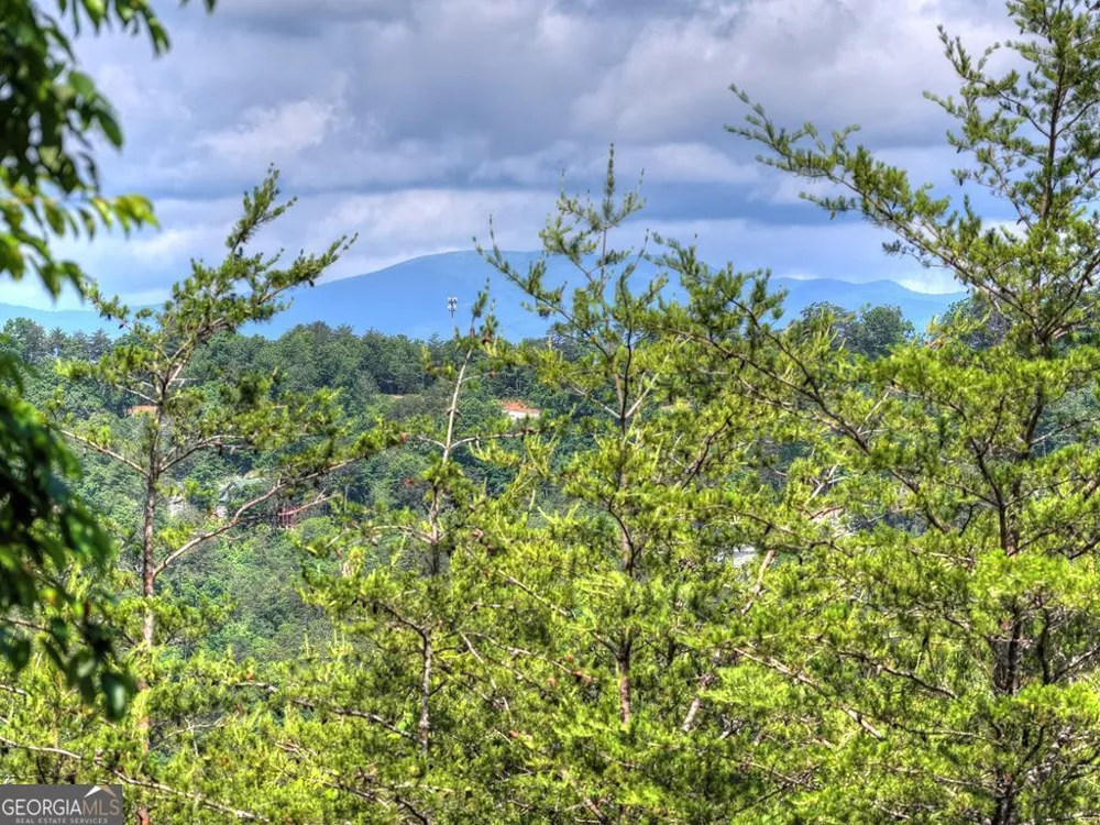 309 Katydid RD Mineral Bluff, GA 30559