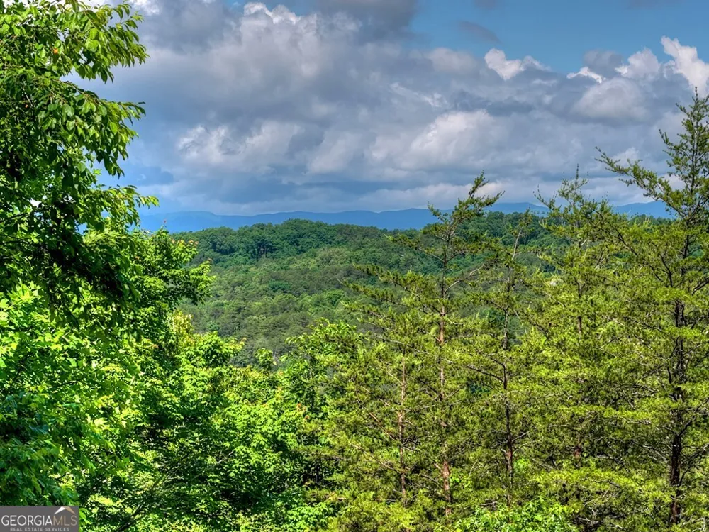 309 Katydid RD Mineral Bluff, GA 30559