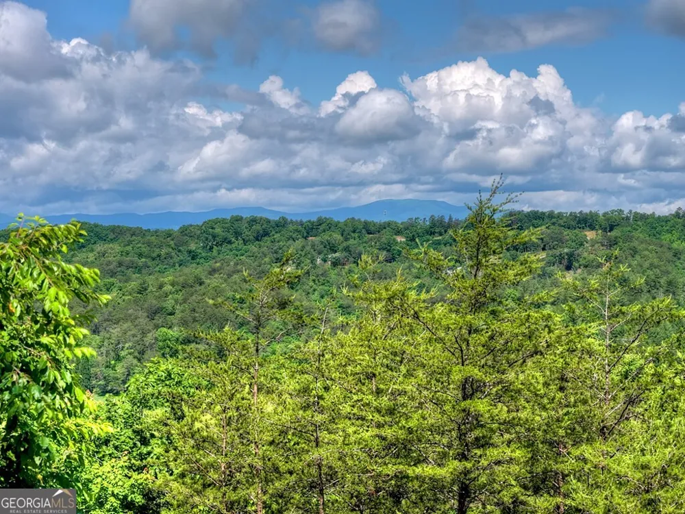 309 Katydid RD Mineral Bluff, GA 30559