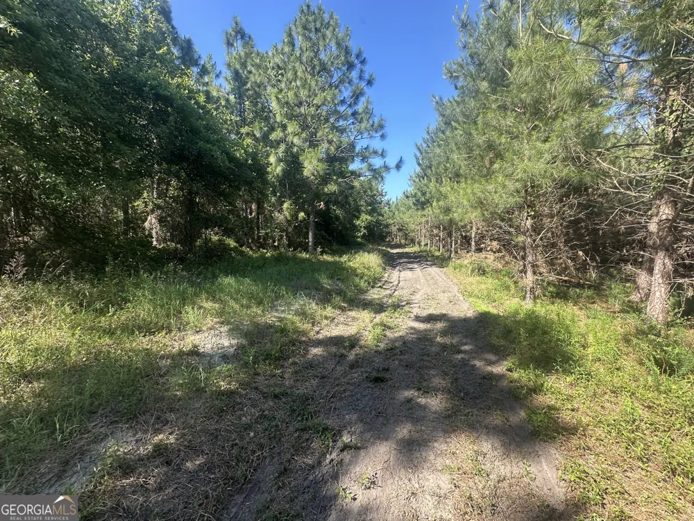 0 Dorsey Clark RD Sylvania, GA 30467