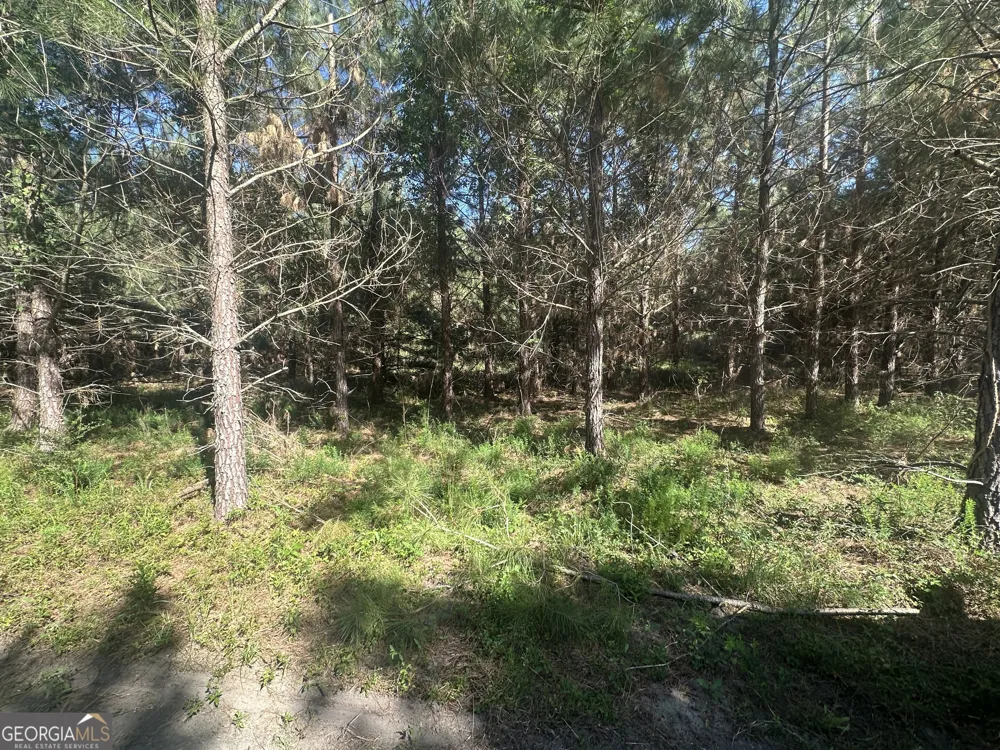 0 Dorsey Clark RD Sylvania, GA 30467