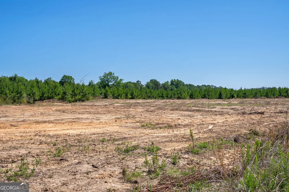4918 Lower Mill RD Crawfordville, GA 30631