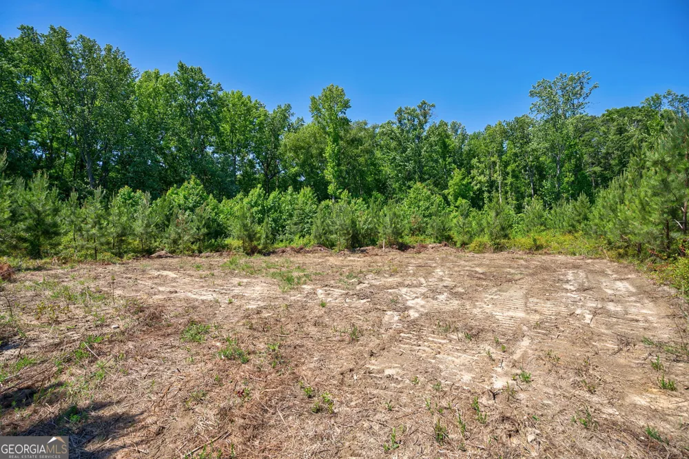 4918 Lower Mill RD Crawfordville, GA 30631