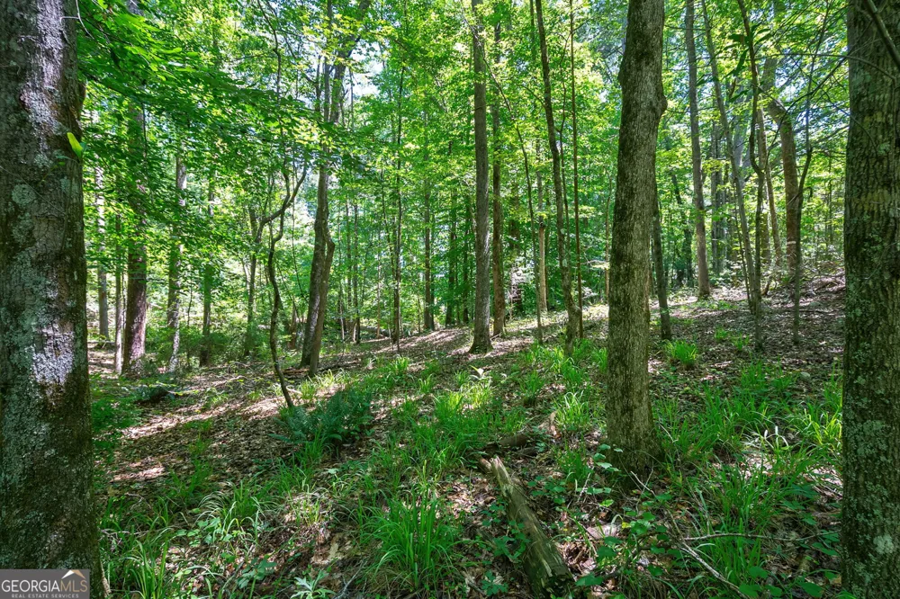 4918 Lower Mill RD Crawfordville, GA 30631