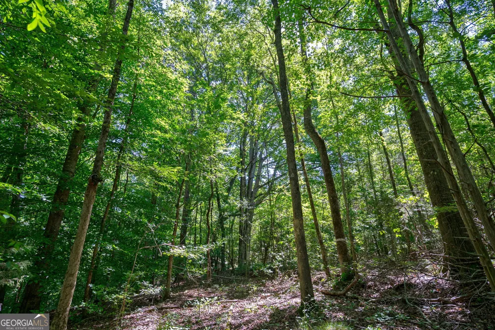 4918 Lower Mill RD Crawfordville, GA 30631