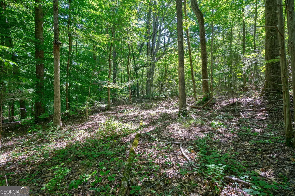 4918 Lower Mill RD Crawfordville, GA 30631