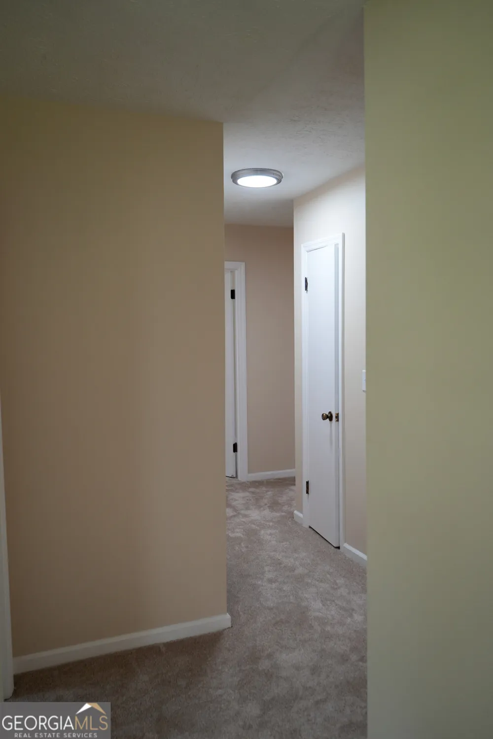 1869 Minter Blue Springs RD Rockledge, GA 30454