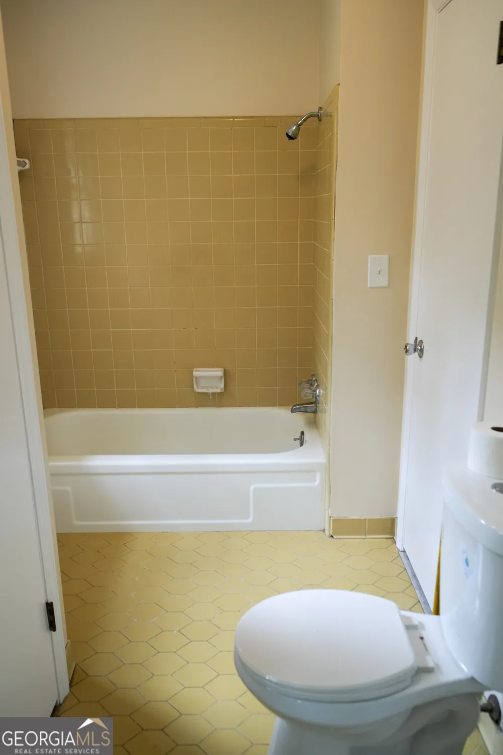 1869 Minter Blue Springs RD Rockledge, GA 30454