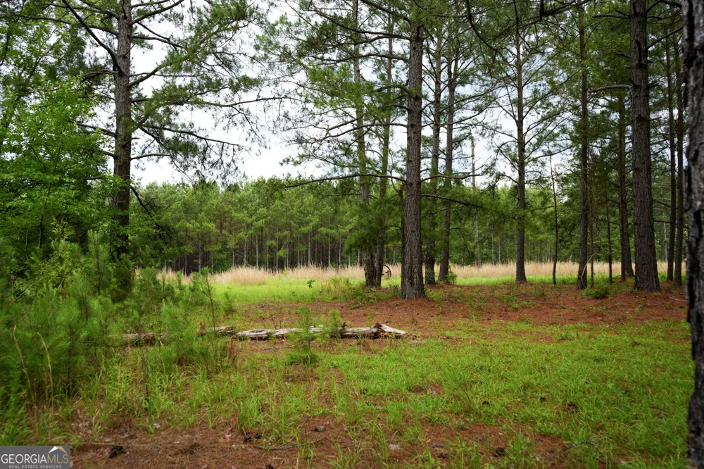 1869 Minter Blue Springs RD Rockledge, GA 30454