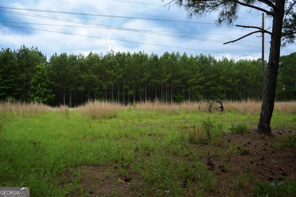 1869 Minter Blue Springs RD Rockledge, GA 30454