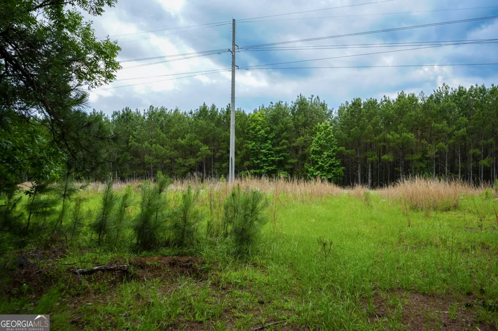 1869 Minter Blue Springs RD Rockledge, GA 30454