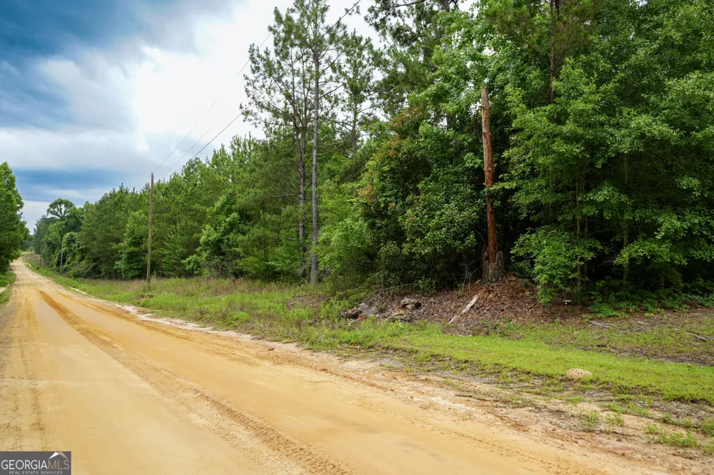 1869 Minter Blue Springs RD Rockledge, GA 30454