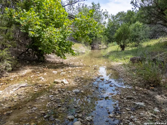 197 TWO SISTERS RD Medina, TX 78055