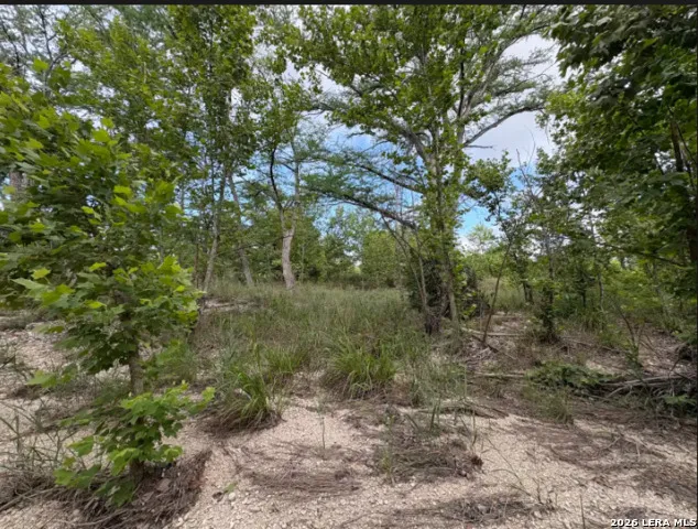 TRACT 30 Highway 16 N Medina, TX 78005
