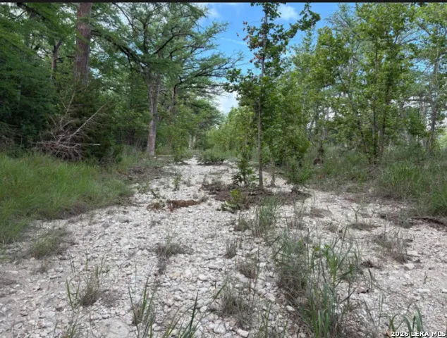 TRACT 30 Highway 16 N Medina, TX 78005