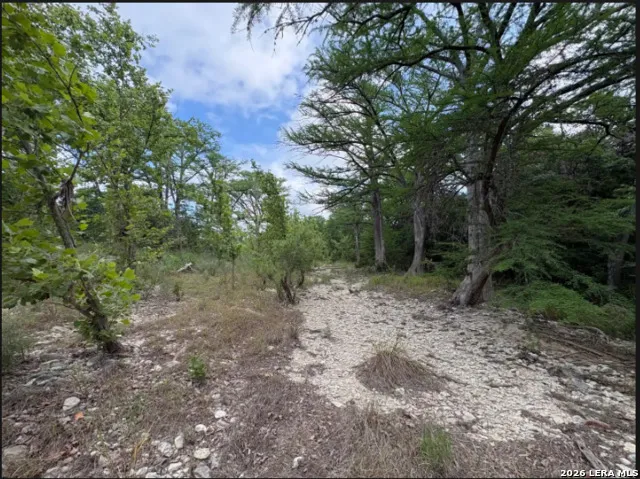 TRACT 30 Highway 16 N Medina, TX 78005