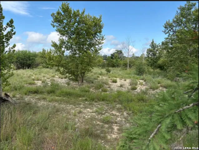 TRACT 30 Highway 16 N Medina, TX 78005