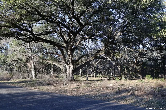 TBD County Road 241 Hondo, TX 78861