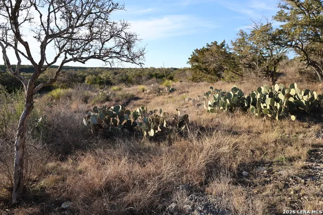 TBD County Road 241 Hondo, TX 78861
