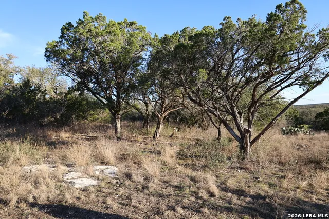 TBD County Road 241 Hondo, TX 78861