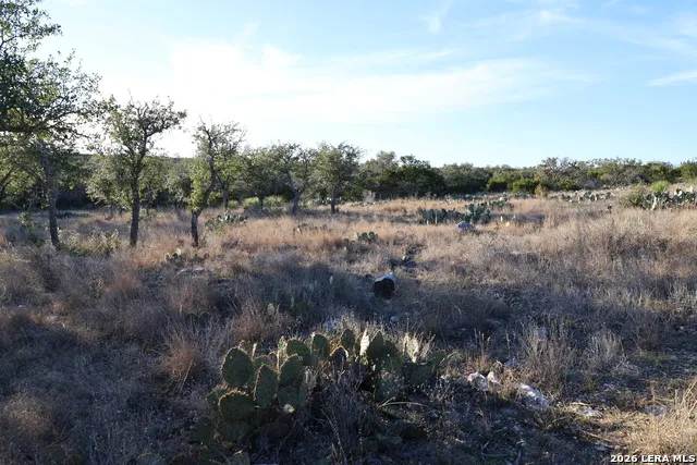 TBD County Road 241 Hondo, TX 78861