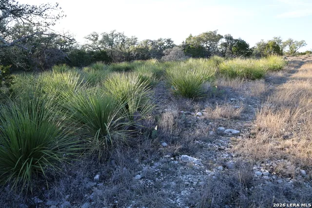 TBD County Road 241 Hondo, TX 78861