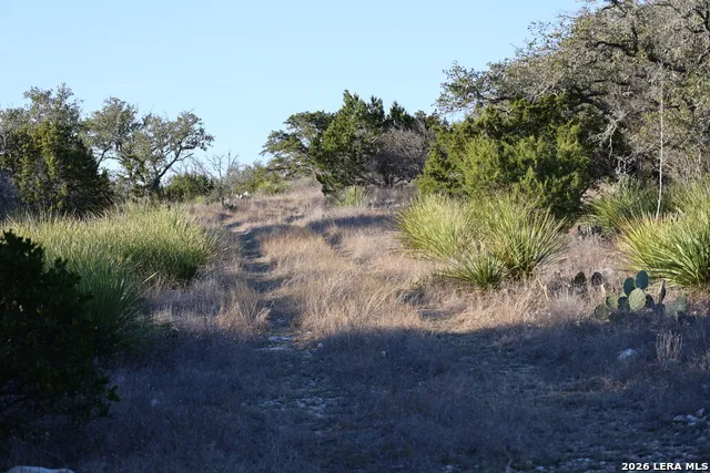 TBD County Road 241 Hondo, TX 78861
