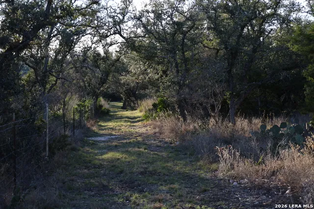 TBD County Road 241 Hondo, TX 78861