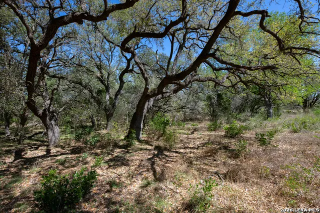 TBD County Road 241 Hondo, TX 78861