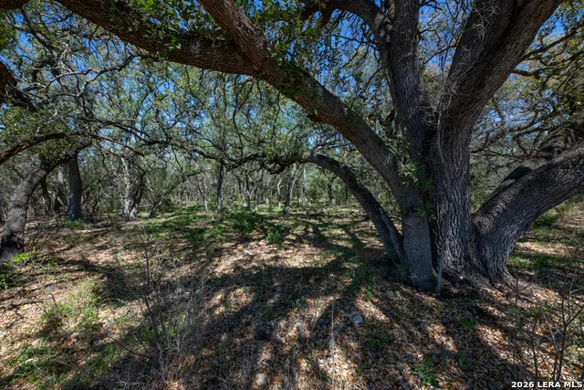 TBD County Road 241 Hondo, TX 78861