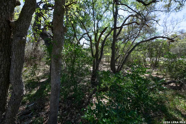 TBD County Road 241 Hondo, TX 78861