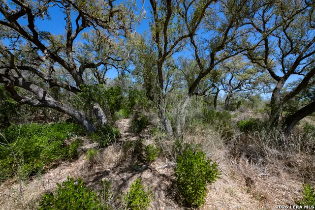 TBD County Road 241 Hondo, TX 78861