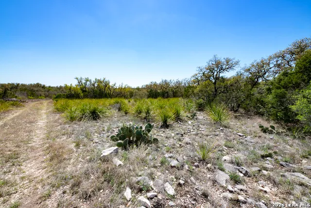 TBD County Road 241 Hondo, TX 78861