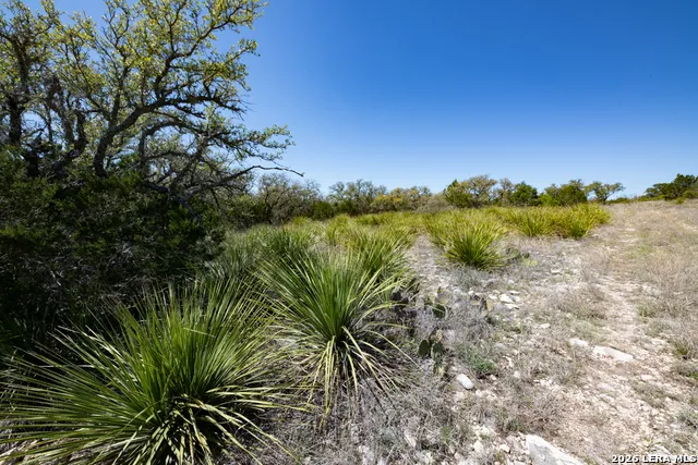 TBD County Road 241 Hondo, TX 78861