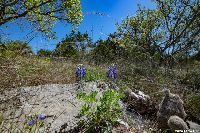 TBD County Road 241 Hondo, TX 78861