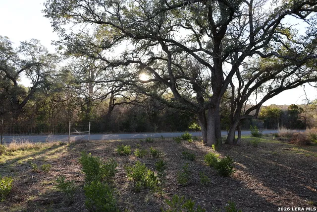 TBD County Road 241 Hondo, TX 78861