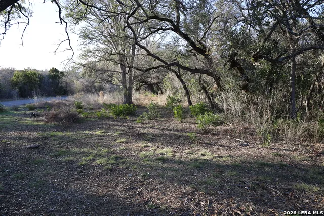 TBD County Road 241 Hondo, TX 78861