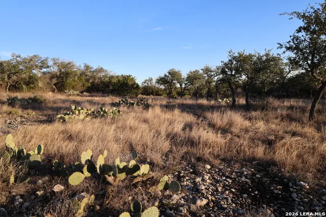TBD County Road 241 Hondo, TX 78861