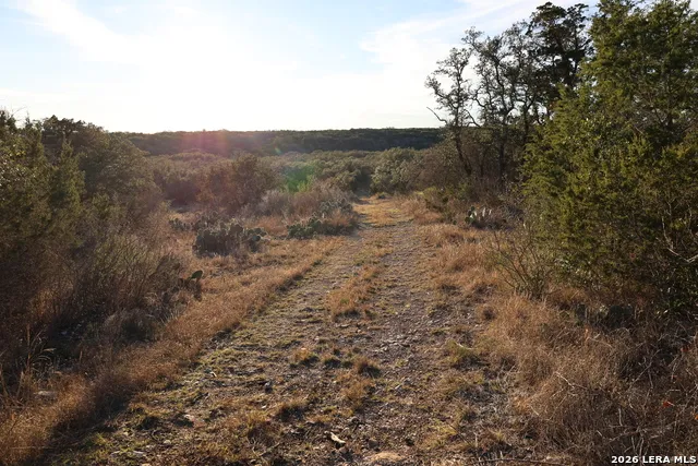 TBD County Road 241 Hondo, TX 78861