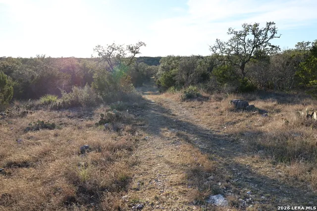 TBD County Road 241 Hondo, TX 78861
