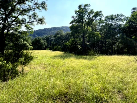 2150 THE LOW RD