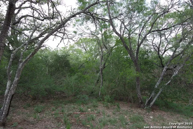 9459 Crow Adkins, TX 78101