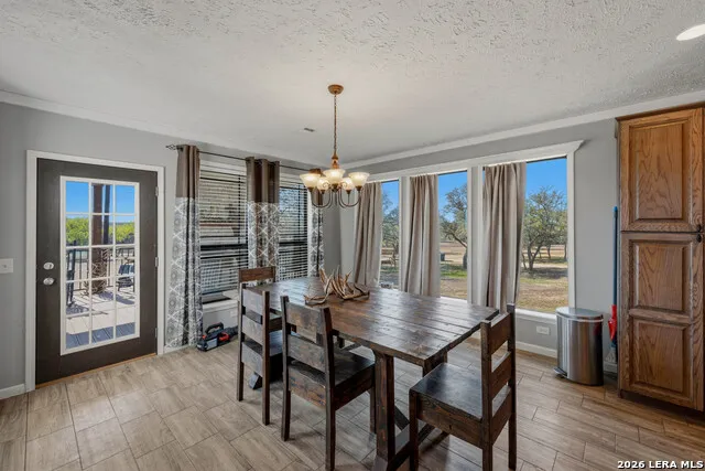 208 WELL PAD RD George West, TX 78022