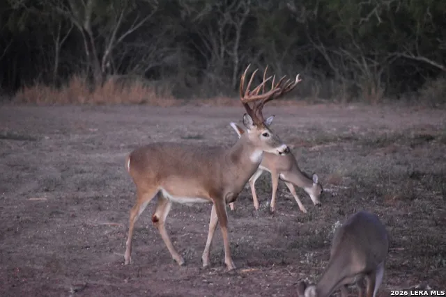 208 WELL PAD RD George West, TX 78022