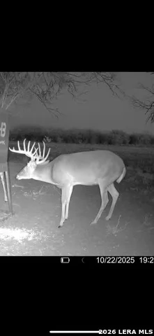208 WELL PAD RD George West, TX 78022